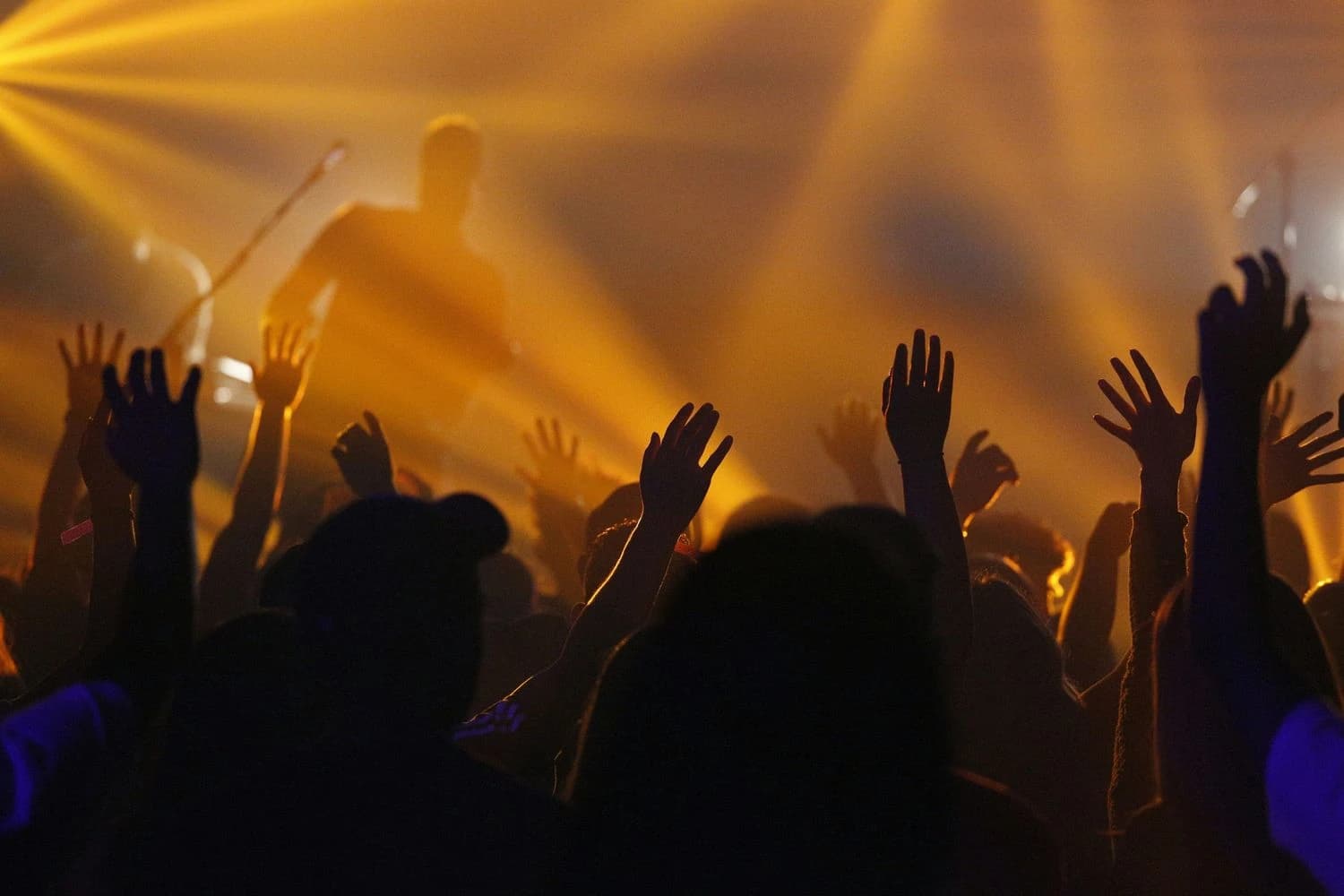 Live Music Concert Ticket